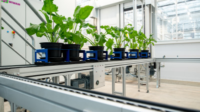 Planten op een lopende band in een laboratorium