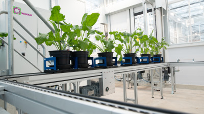 Planten voor onderzoek op lopende band