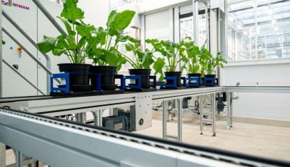 Planten op een lopende band in een laboratorium