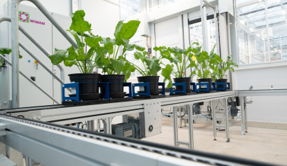 Planten voor onderzoek op lopende band