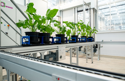 Planten op een lopende band in een laboratorium