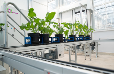 Planten voor onderzoek op lopende band