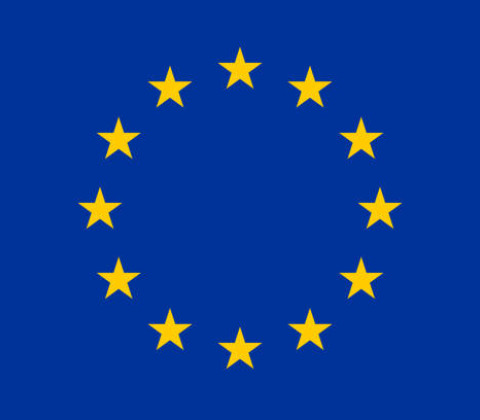 Europese vlag