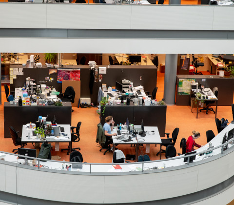 studerende studenten van een afstand