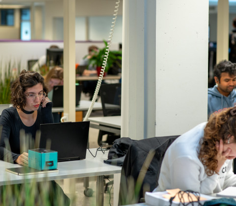 Studerende studenten